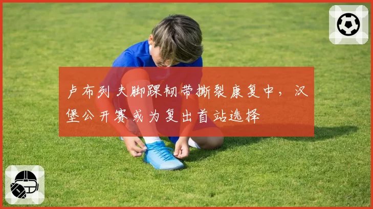 卢布列夫脚踝韧带撕裂康复中，汉堡公开赛或为复出首站选择