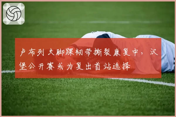 卢布列夫脚踝韧带撕裂康复中，汉堡公开赛或为复出首站选择