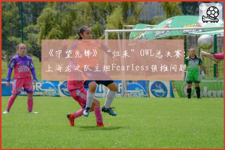 《守望先锋》“归来”OWL总决赛：上海龙之队主坦Fearless颈椎问题，连冠征程遭遇致命打击